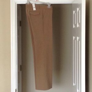 NWT NY & Company  Tan dress pants